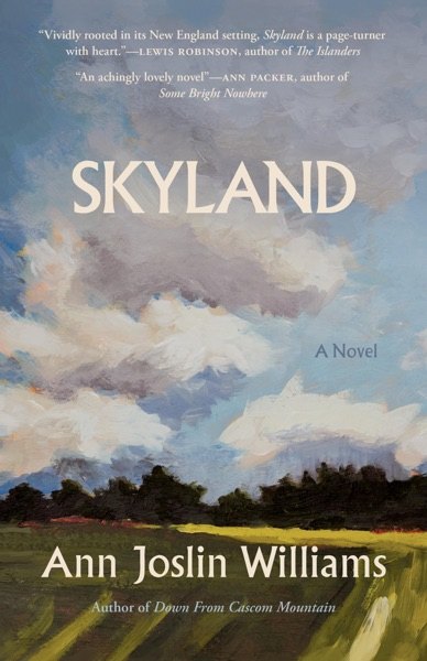 Cover of Skyland